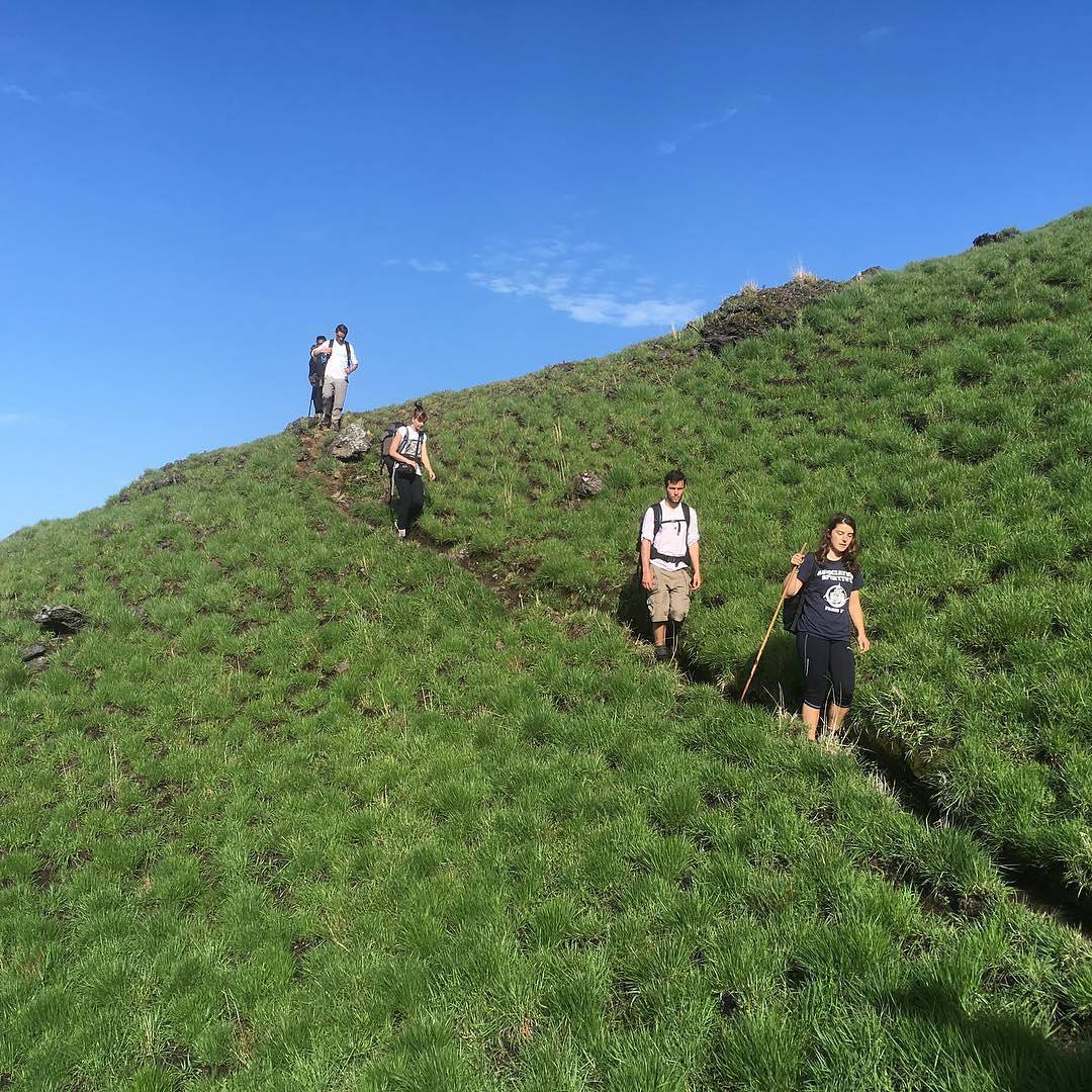 Hikers descending a grassy slope on Mount Cameroon